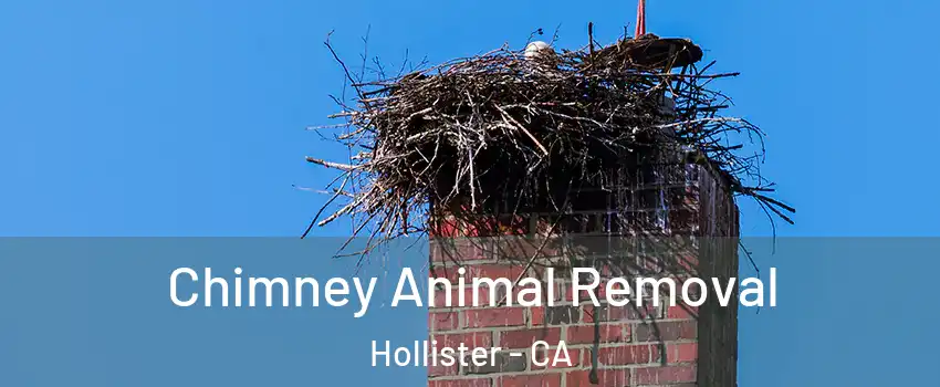 Chimney Animal Removal Hollister - CA