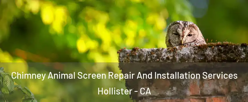  Chimney Animal Screen Repair And Installation Services Hollister - CA