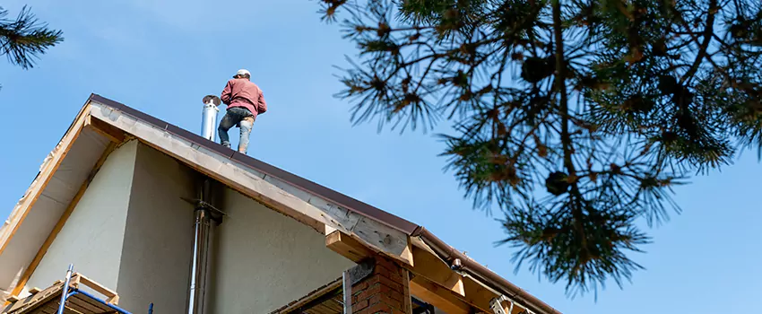 Birds Removal Contractors from Chimney in Hollister, CA