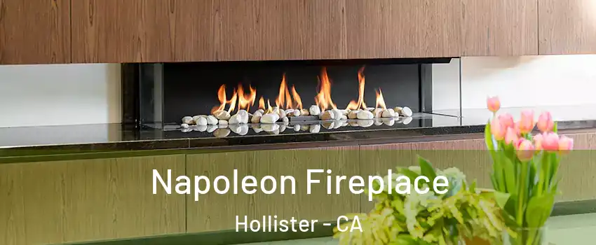  Napoleon Fireplace Hollister - CA